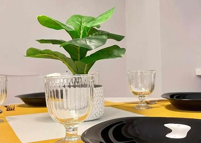Trivicci Home
